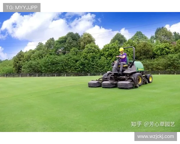 北京首钢创新发展引领首都工业升级转型与绿色高质量新征程