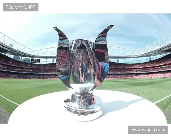 足球魅力无穷探索全球顶级联赛与球员背后的故事与热血梦想