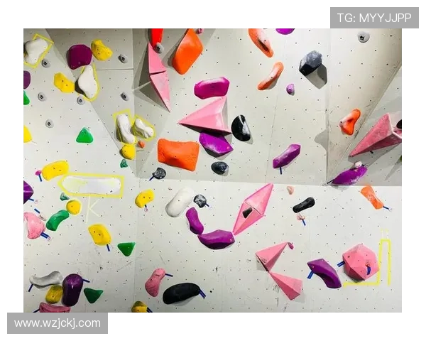 成都攀岩队与武汉攀岩队比赛经验深度分析与复盘探讨