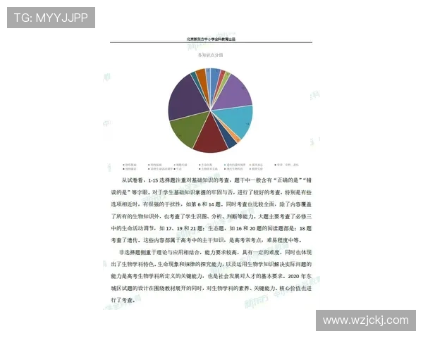 深入分析北京飞盘队整体压制战术及其对比赛的影响与应用