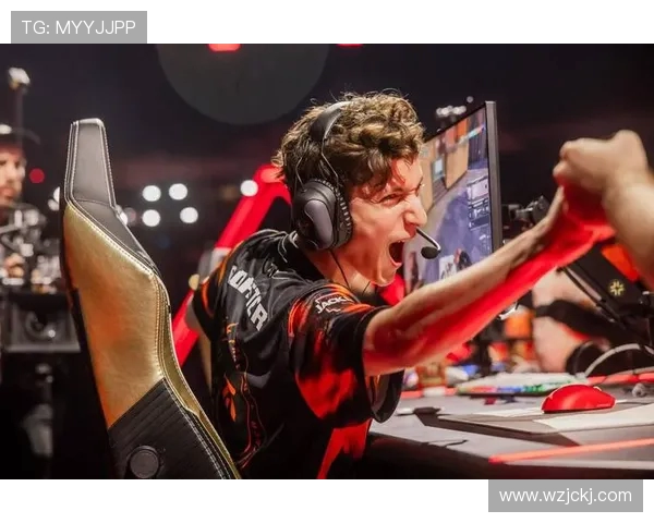 Fnatic战队荣登全球电竞巅峰 揭秘其成功背后的秘密与未来布局