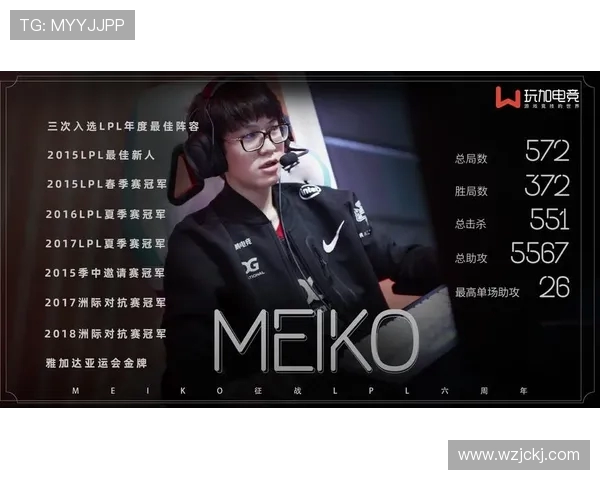 以Meiko为核心辅助角色的团队配合与战术解析